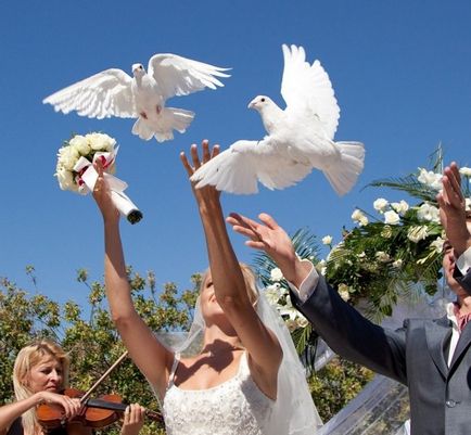 Передбачаємо сімейне життя по польоту весільних голубів