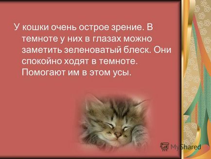 Презентація на тему скоромовка кішка крихта на віконці кашку їла по крихті