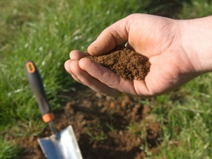 Un dispozitiv pentru măsurarea acidității solului este un instrument necesar pentru un horticultor