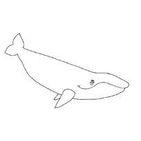 Розфарбування кит - роздрукувати картинки для дітей
