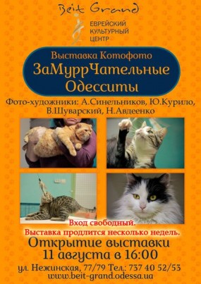 Program de spectacole de câine și pisici la Kiev și Ucraina, zoodom