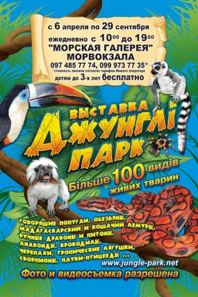 Program de spectacole de câine și pisici la Kiev și Ucraina, zoodom