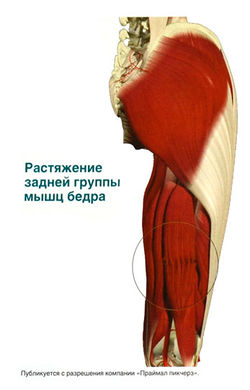 Розтягнення м'язів стегна