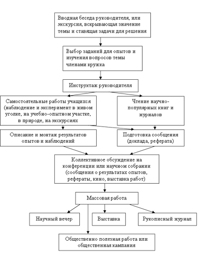 Розмноження в органічному світі - біологія