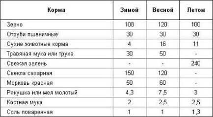 Розведення індиків в домашніх умовах докладно для початківців