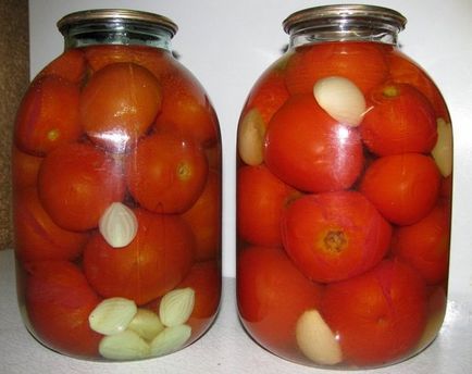 Рецепти помідорів на зиму як солити в банках, відрі, заготівля томатів, домашні, своїми руками,
