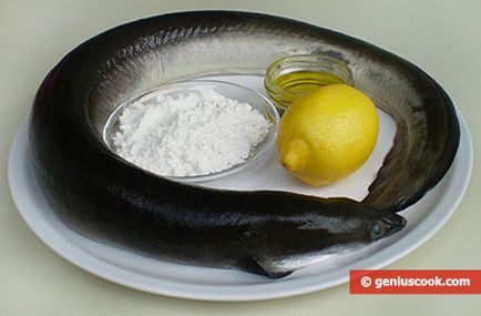 Rețetă pentru anghilă friptură, fructe de mare și mâncăruri de pește, gătit genial - rețete pentru delicioase și