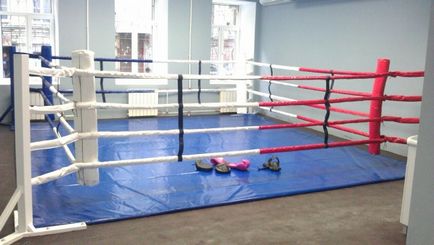 Inel de box, cumpara inel pentru box, sport constant