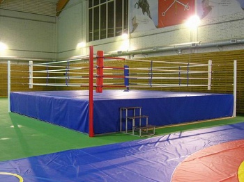 Inel de box, cumpara inel pentru box, sport constant