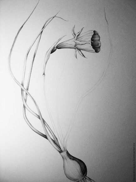 Desenând o floare