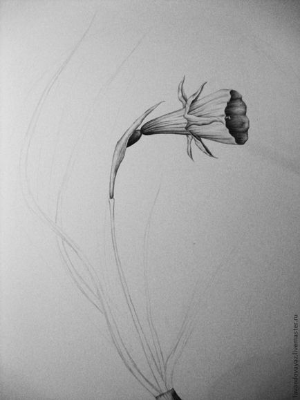 Desenând o floare