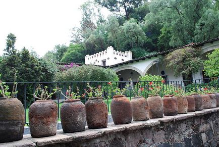Kert a mexikói stílusa (style) Garden a mexikói stílusban