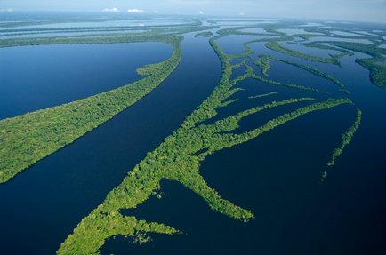 A leghosszabb folyó a világon - az Amazon - idő a pihenésre
