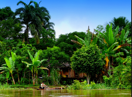 A leghosszabb folyó a világon - az Amazon - idő a pihenésre
