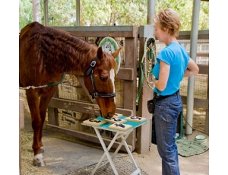 Найрозумніший кінь у світі - Лукас - сайт про коней