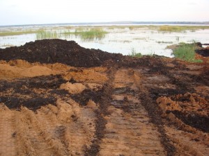 Сапропель видобуток і застосування, вятский сад