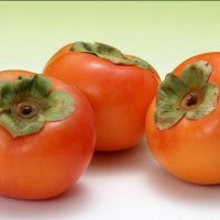 Сахалінська клоповніца, ягода і її застосування - скальпель - медичний