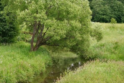 Село Федоскіно історія і пам'ятки