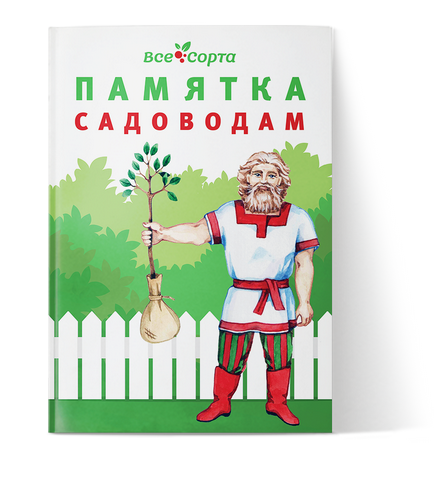Насіння газону серії зелений квадрат - сонячний - вибрати і купити в москве продаж по каталогу