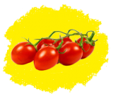 Насіння томатів купити, насіння помідорів кращі сорти по каталогу поштою, інтернет-магазин - насіння