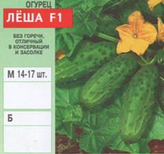 Seminte de flori si legume in vrac - castraveti (3)