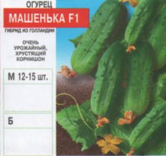 Seminte de flori si legume in vrac - castraveti (3)