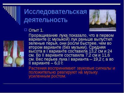 Шум як екологічний фактор виконала Петрового анна 4 б клас МОУ гімназія 8