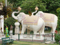 Слони - символ таїланду