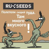 Сорт auto white russian fem (serious seeds) - опис, відгуки