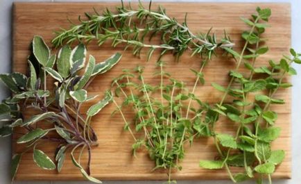 Methods in főzés fű tárolás télen (olaj infuznoe olaj) Ways, hogy tárolja gyógynövények főzés a téli