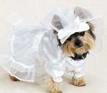 Весільні вбрання для собак