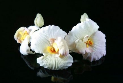 Buchet de orhidee