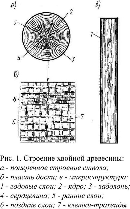 Властивості деревини як конструкційного матеріалу