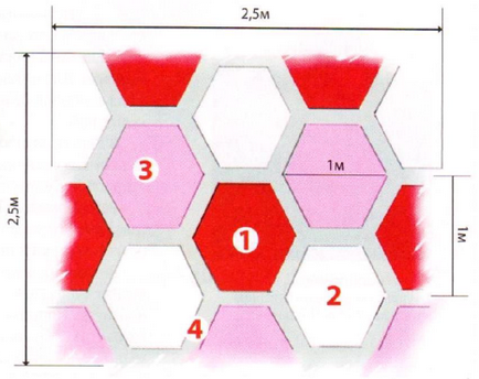 Diagrama unei grădini de flori la umbra pentru începători