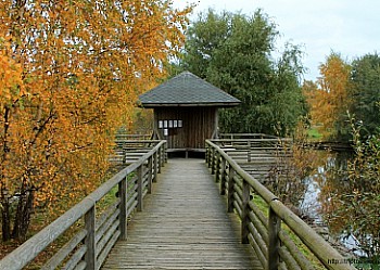 Adresa Tallinn Zoo, ora de lucru, costul vizitei, cum să obțineți, descrierea