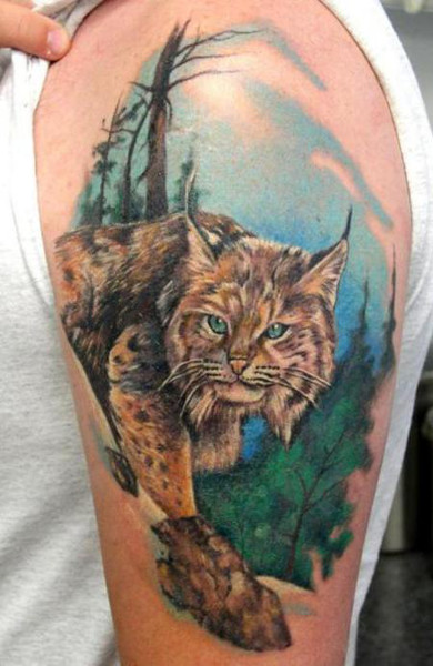 Tattoo lynx - adică, schițe și fotografii cu tatuaje