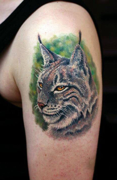 Tattoo lynx - adică, schițe și fotografii cu tatuaje