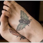 Tattoo fly érték, fotók, vázlatok (érték) Tattoo fly érték, fotók, vázlatok