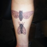 Tattoo fly érték, fotók, vázlatok (vázlatok) Tattoo fly érték, fotók, vázlatok