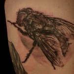 Tattoo fly érték, fotók, vázlatok (légy) Tattoo fly érték, fotók, vázlatok
