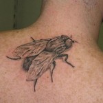Tattoo fly érték, fotók, vázlatok (légy) Tattoo fly érték, fotók, vázlatok