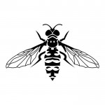 Tattoo fly érték, fotók, vázlatok (érték) Tattoo fly érték, fotók, vázlatok