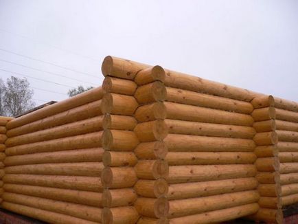 Технології будівництва дерев'яних будинків з облицювального колоди