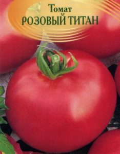 Томат «титан рожевий» опис сорту, фото і рекомендації по вирощуванню помідори