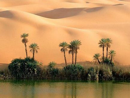 Torakid - вода в пустелі