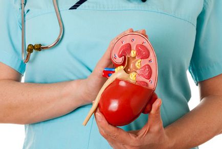 Transplantul de rinichi și sarcina
