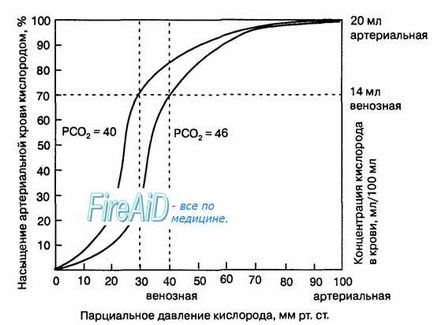 Транспорт газів кров'ю