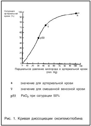 Transportul oxigenului prin sânge