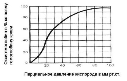 Transportul oxigenului prin sânge - stadopedie