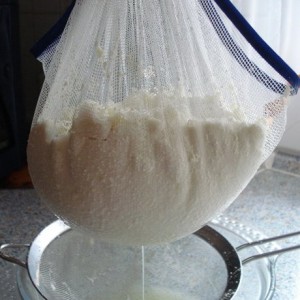 Câteva proprietăți utile și specii, alimente și sănătate (utile) Creste proprietati sanatoase si specii, alimente si sanatate
